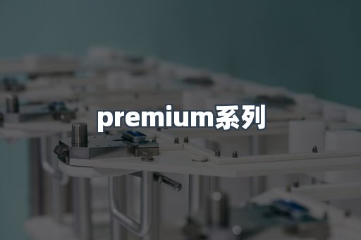 premium系列
